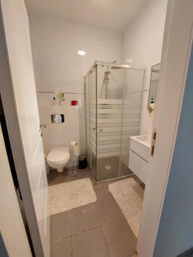 Dutxa, Tzfat, best location! in Safed