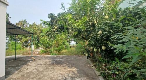 OffBeat Purulia, The Village Life in Pratappur