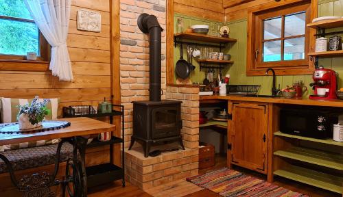 Explorers Dream - Transylvania in Valea Manastirii