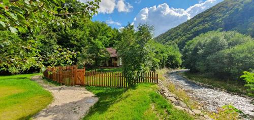 Uitzicht, Explorers Dream - Transylvania in Valea Manastirii