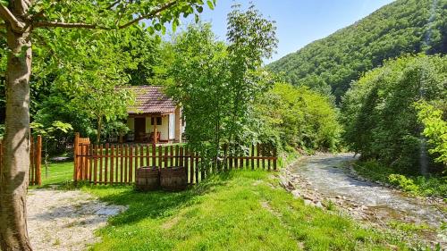 Explorers Dream - Transylvania in Valea Manastirii