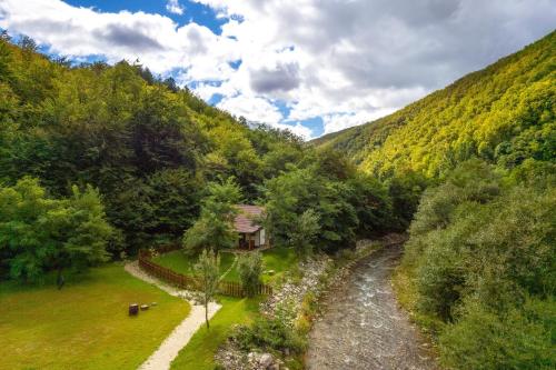 Explorers Dream - Transylvania in Valea Manastirii