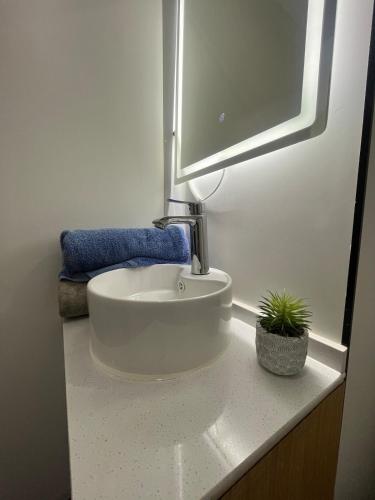 Pringle Pod in Lisnalee