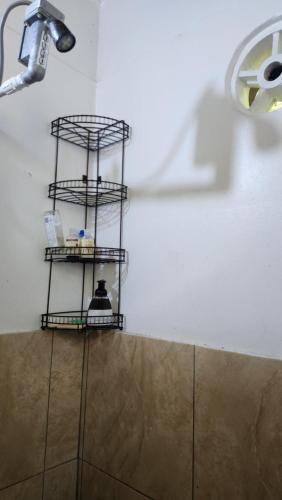 Dominica Back 2 Eden Dominica Back 2 Eden