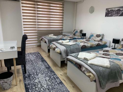 LiJo Apartment in Macedonia Sq, Skopje (fotografie 10)