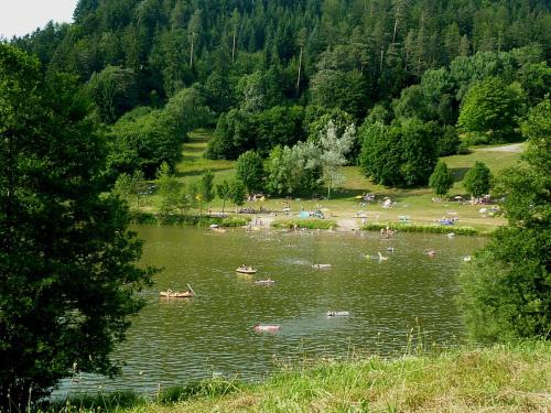 Aktivitäten, Remshalden in Remshalden