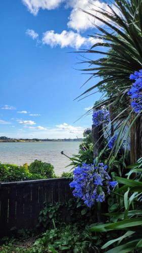 Private guest suite near the airport 1-4 guests, Auckland (Foto 4)