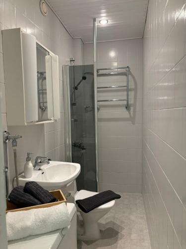 Fully equipped studio in Alppila, Helsinki (photo 8)
