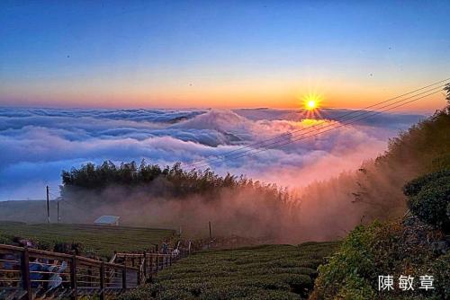 天隆民宿Tian Long Tea Farm HomeStay 天隆民宿Tian Long Tea Farm HomeStay