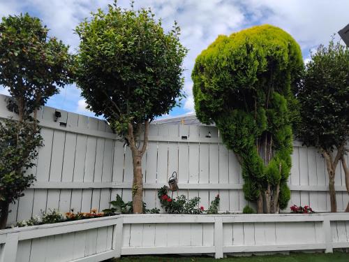 Dream home, Auckland (photo 8)