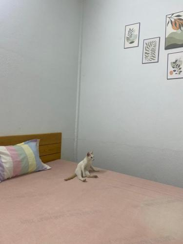 undefined 3
