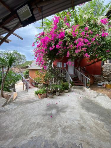 Đảo Bình Ba - không nhận khách quốc tế, view trực tiếp biển, phòng đơn