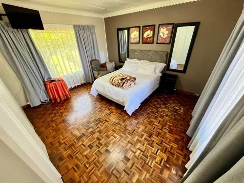 The African Flamingo in Sunnyridge