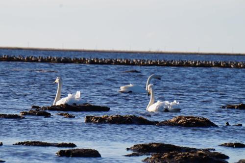 Guest House Shiome in Nakashibetsu