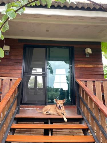 Pool Dara Resort near Lub Lae Cave