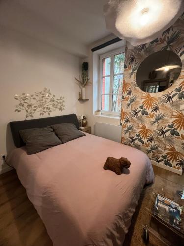 Casa Nostra - T1 - Terrasse privée, Toulouse (foto 5)