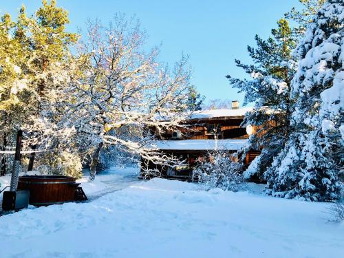 Kibuvitsa Holiday House in Kuressaare