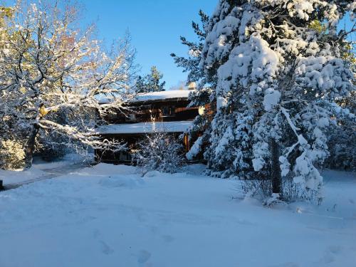 Kibuvitsa Holiday House