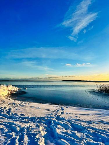 Kibuvitsa Holiday House in Kuressaare