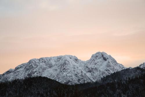 Two bedrooms Apartament KARPI 120m2, Zakopane (Foto 8)