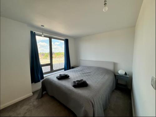 Harry Potter cosy home