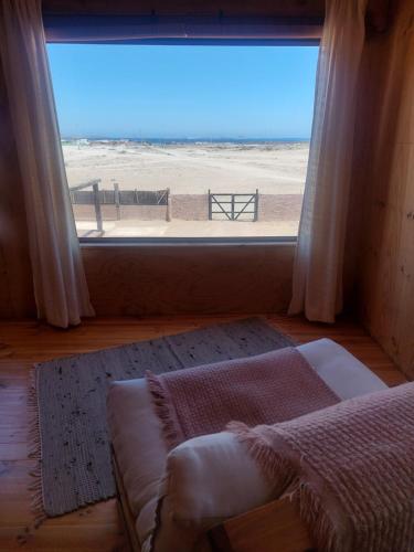 Refugio del Archipielago D3 in Punta De Choros