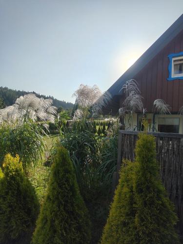 Osada Leonówka Bieszczady