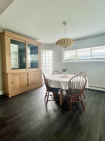 Facilities, Mid-century Vintage Apartment in Hibbing (MN)