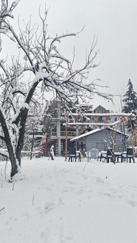Basecamp Manali photo 4