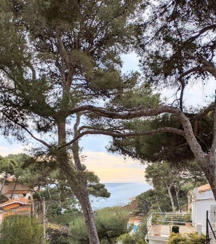 Grande maison vue mer méditerranée en Provence (Grande maison vue mer mediterranee en Provence) in Ensuès-la-Redonne