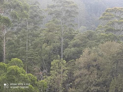 Winter Rest Villa in Nuwara Eliya