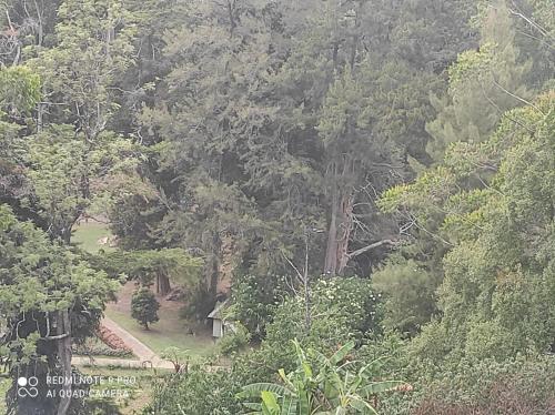 Winter Rest Villa in Nuwara Eliya