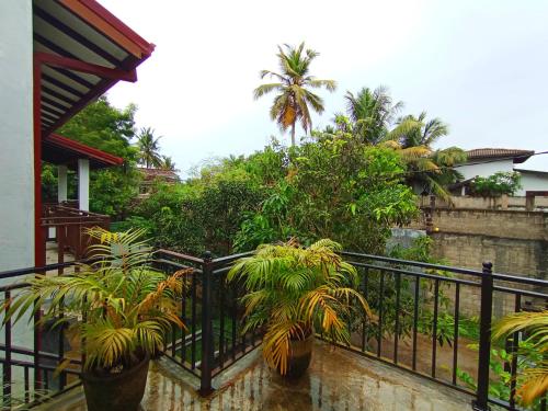 White King Guest in Unawatuna
