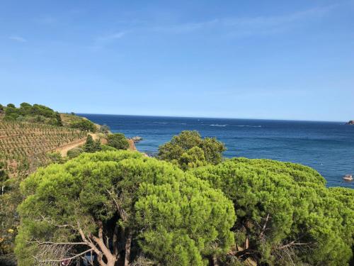 Camping le Rancho - image 2