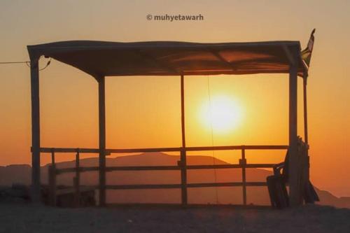 Wadi Ghowair View Camp in Maan