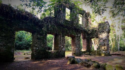Natuart chalé com cozinha praia da Lagoinha (Natuart chale com cozinha praia da Lagoinha) in Praia da Lagoinha