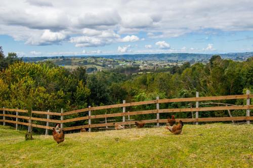 Chilote Monteaguilino