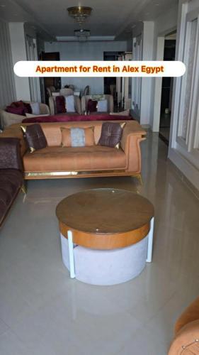 الاسكندريه