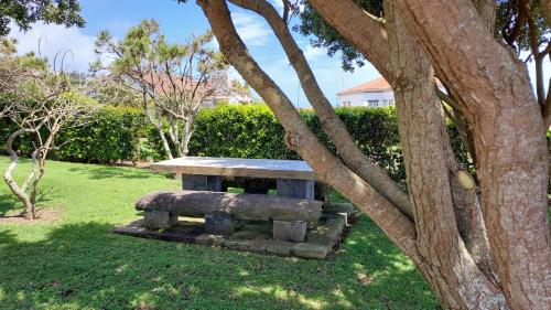 Retiro das Camélias 1 (Retiro das Camelias 1) in ลาเชสดาสฟลอเรส