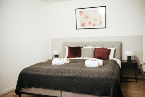 Feel Home Apartments 501 - Seeblick - Bergblick - Parkplatz in Emmetten