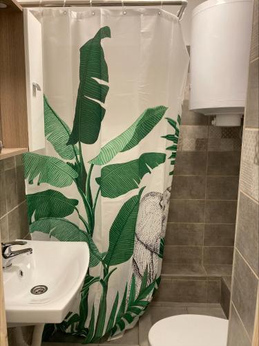 Bartók 19 Apartman (Bartok 19 Apartman) in ฮาร์คานี่