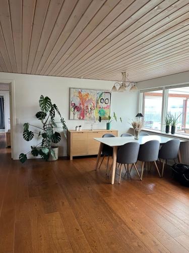 Comoditats, Dejlig og hyggelig hus i Thyborøn in Thyboron