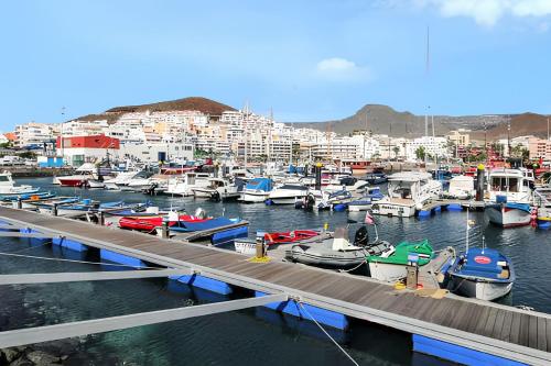 Studio in Arona with WiFi - image 6