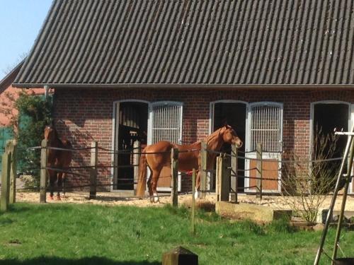 Gästehaus Peerhus Dönsel - peerknecht (Gastehaus Peerhus Donsel - peerknecht) in Barnstorf (Lower Saxony)