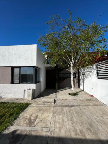 Casa Chapa