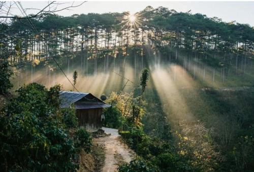 포누이 호텔 - 주변 환경