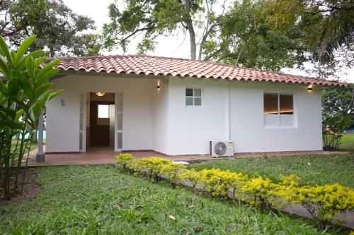 Superior Villa image 8