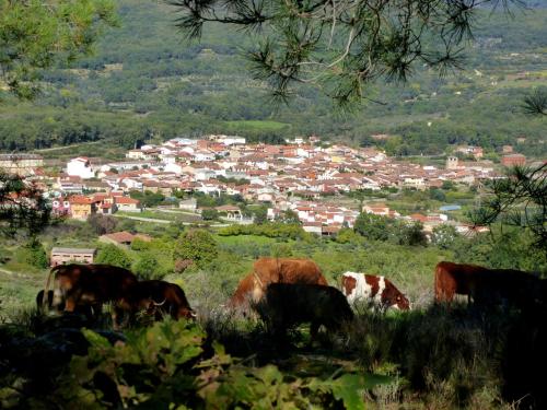 Apartamentos Rurales Entre Fuentes