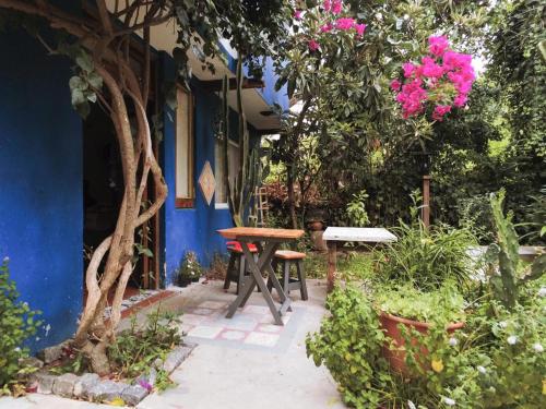 Nido, Los Colibríes VI, Tigre (foto 7)