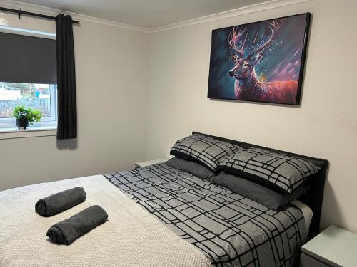 Spacious two bedroom apartment, entire place in Greenock